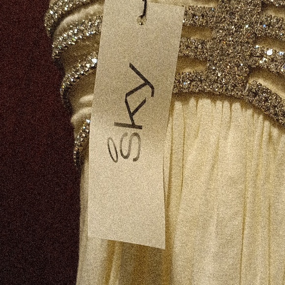 Sky Brand Rhinestone Embellished Halter Top Size Xs NWOT Small Pinhole And Stain - Picture 5 of 6